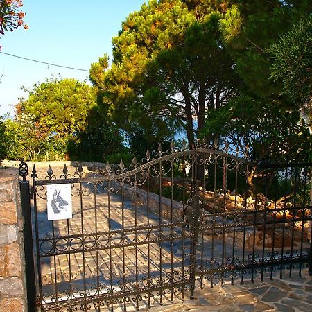 Panoramic Seaview Holiday House 수다 외부 사진